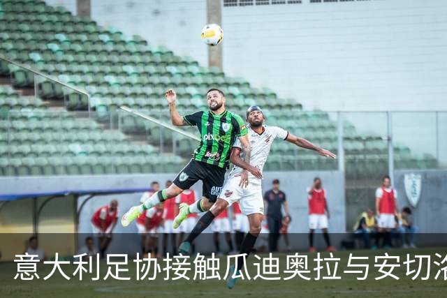 意大利足协接触瓜迪奥拉与安切洛蒂 马尔蒂尼确认选帅进展