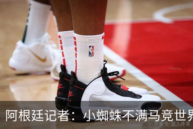 阿根廷记者：小蜘蛛不满马竞世界杯决赛前发声，或考虑回归后罢训