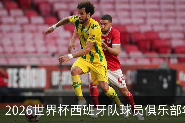 2026世界杯西班牙队球员俱乐部年薪榜发布！19岁亚马尔年薪1.6亿